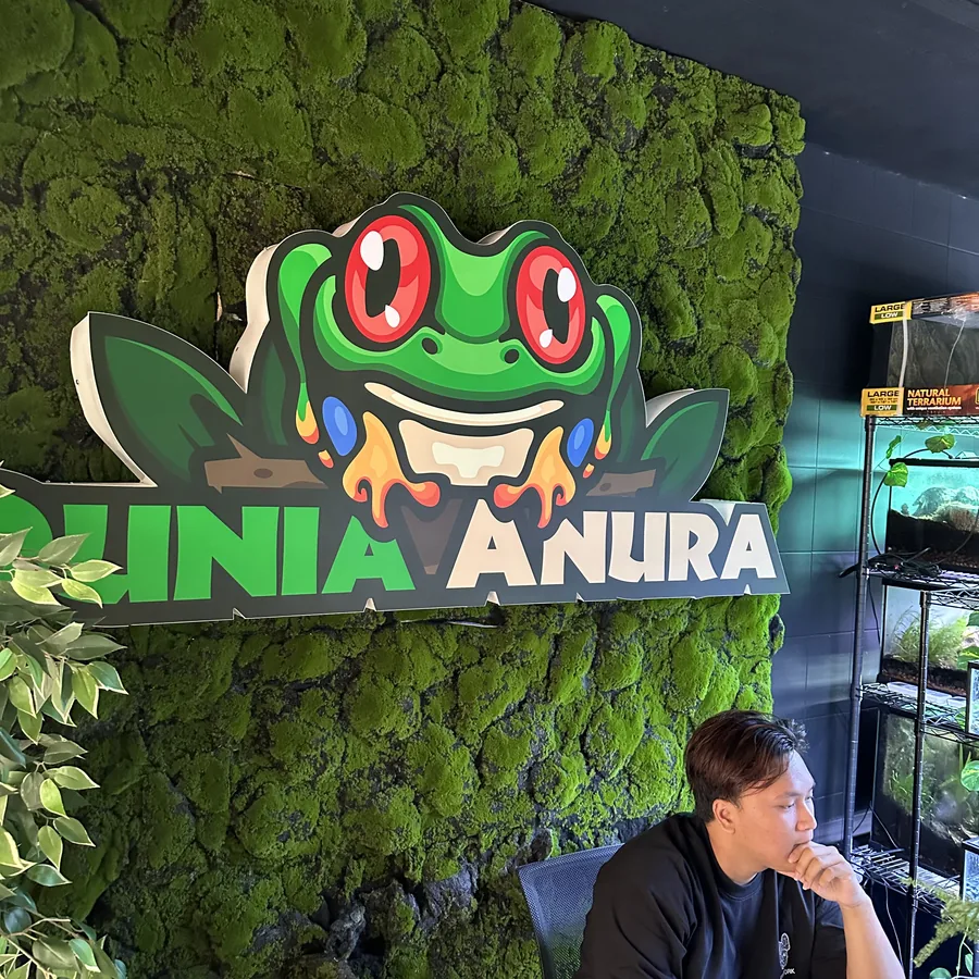 Arrow beside the Dunia Anura logo wall